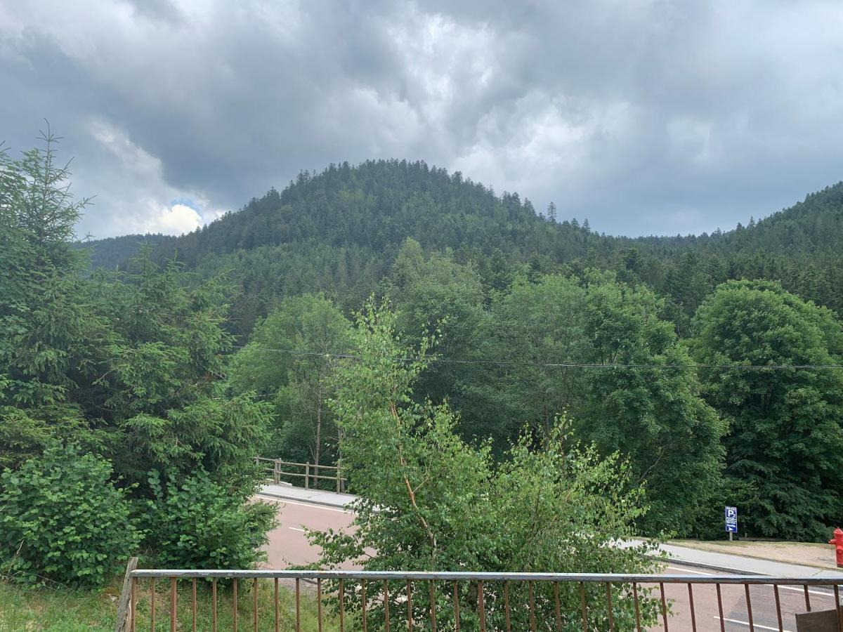 Gite de L'ours La Bresse Extérieur photo
